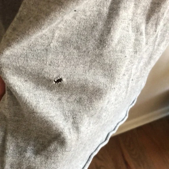 ATHLETA | Grey hooded cardigan - Picture 6 of 6